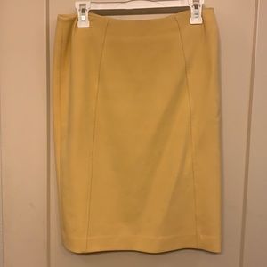 Pencil Skirt